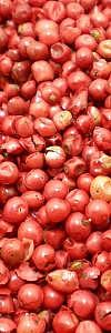 Pfeffer rot ganz rosa Schinusbeere Bio