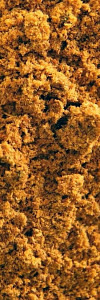 Spekulatiusgewürz Bio