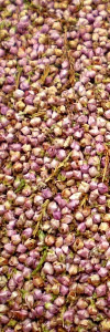Heideblüten - Erikablüten gerebelt Bio