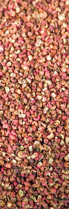 Zitronenpfeffer Bio ganz
