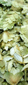 Hopfenblüten geschnitten Bio