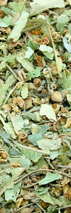 Lindenblüten geschnitten Bio
