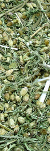 Schafgarbenkraut geschnitten Bio