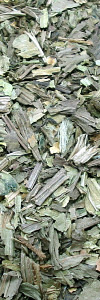 Spitzwegerich Bio