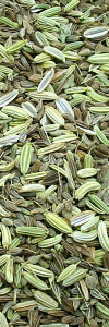 Stilltee Bio
