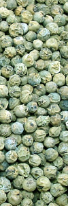 Pfeffer grün ganz Bio