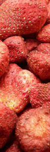 Erdbeeren gefriergetrocknet BIO naturbelassen